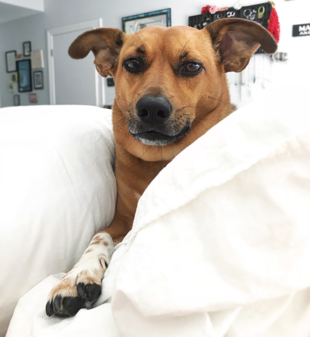 She Was a Good&nbsp;Girl